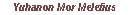 [Yuhanon Mor Meletius-Click for Profile]